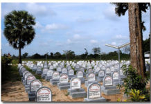 தமிழீழத் தாயின் கருவறையில் விதைக்கப்பட்ட வீரர்களே !