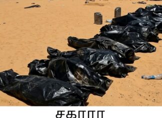 சகாரா பாலைவனம் வழியாக சரக்குந்தில் பயணித்த 49 பேர் நீரின்றிப் பலி!
