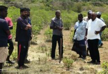 பூநகரி கிராமங்களை விழுங்கும் காற்றாலைத் திட்டம்: நேரில் வந்த தமிழ்த்தேசியமக்கள்முன்னணி!