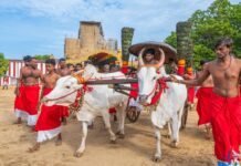 நல்லூர் கந்தசுவாமி ஆலய பெருந்திருவிழாவிற்கான காளாஞ்சி வழங்கும் நிகழ்வு!