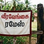 நம் காலத்திலே நடந்த ஆயிரமாயிரம் வீரக்கதைகள்!