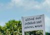 கிளிநொச்சி அறிவியல் நகர் புகையிர கடவையில் விபத்து 22வயது யுவதி உயிரிழப்பு!