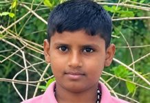 மட்டக்களப்பில் பாம்பின் விஷம் பட்ட நாவல் பழத்தை உண்ட 11 வயது சிறுவன் பலி!
