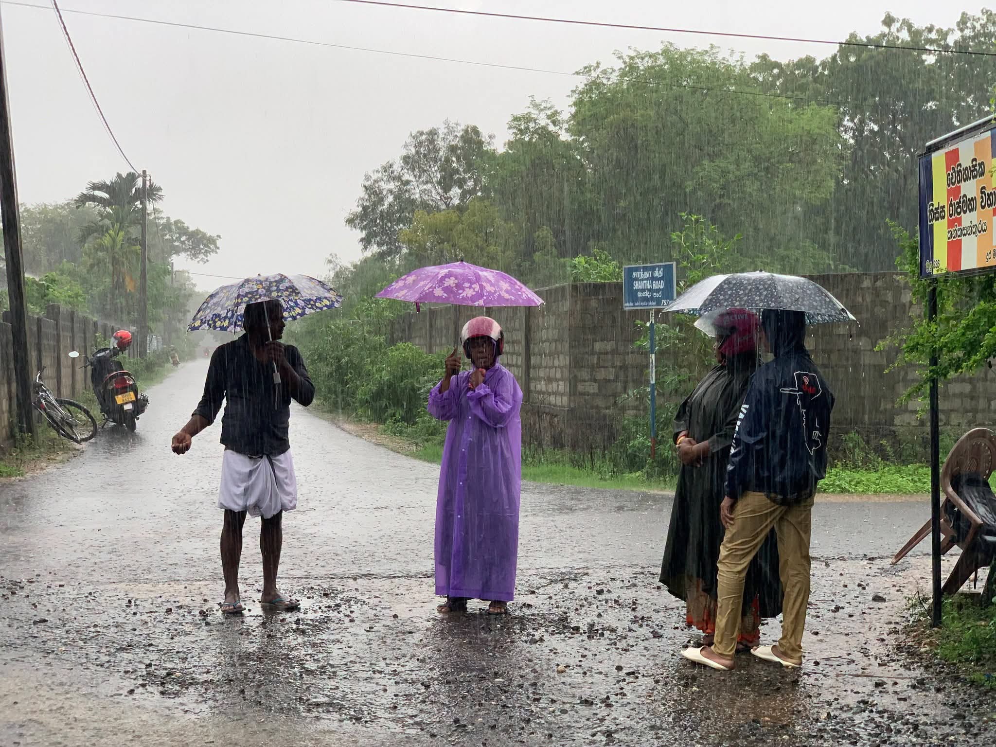 கொட்டும் மழையிலும் தொடர்கிறது தையிட்டி சட்டவிரோத விகாரைக்கு எதிரான போராட்டம்!