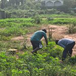 மாவீரர்நாள் நினைவேந்தலை முன்னிட்டு கோப்பாயில் ஆயத்தப் பணிகள்!