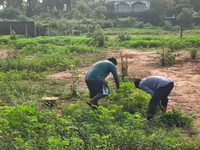 மாவீரர்நாள் நினைவேந்தலை முன்னிட்டு கோப்பாயில் ஆயத்தப் பணிகள்!