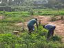 மாவீரர்நாள் நினைவேந்தலை முன்னிட்டு கோப்பாயில் ஆயத்தப் பணிகள்!